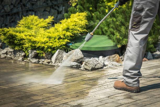 Animal Enclosure Cleaning in Ransomville, NY